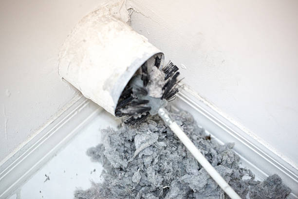 Best Home Air Vent Cleaning  in Home Gardens, CA