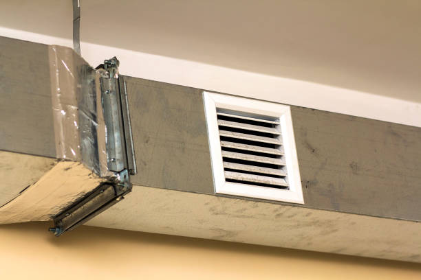 Best Professional Duct Cleaning Services  in Home Gardens, CA